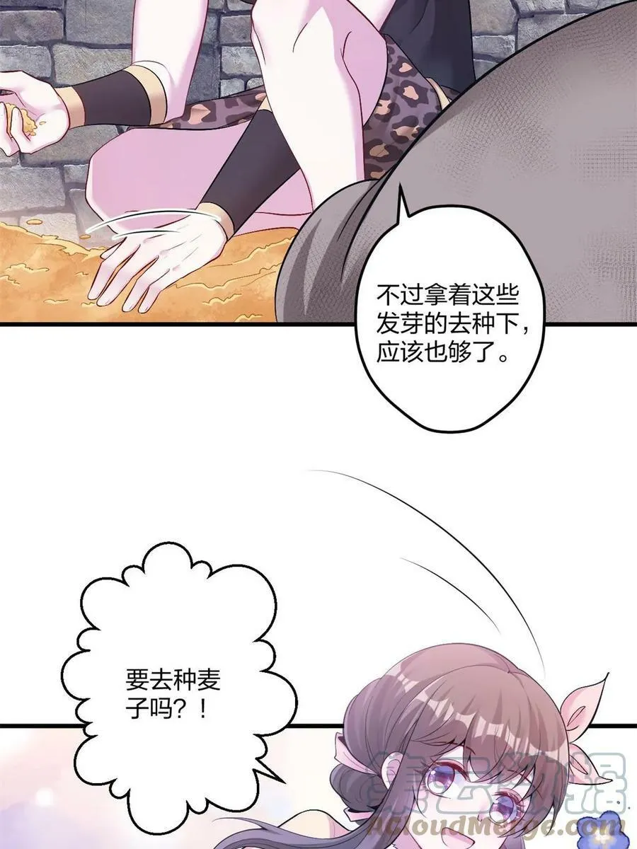 455 第52页