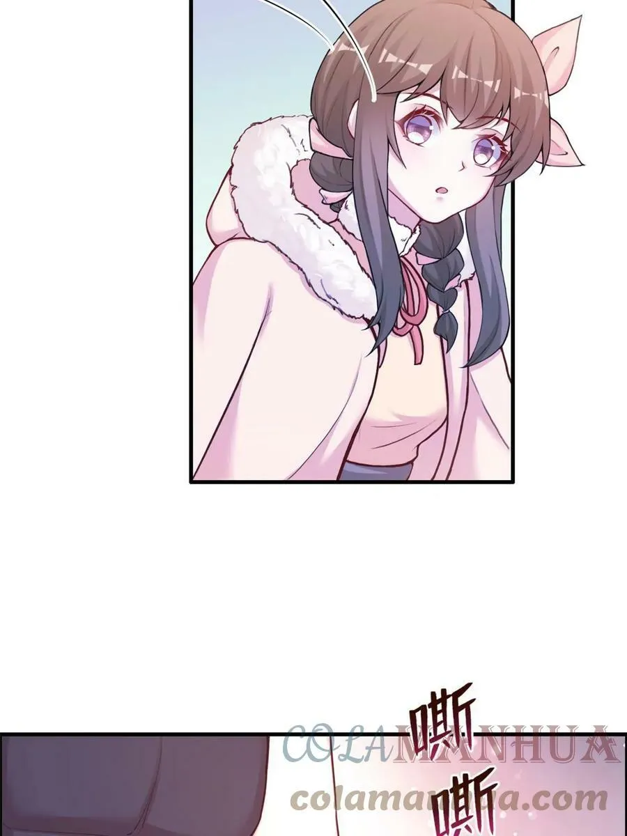 446 第37页