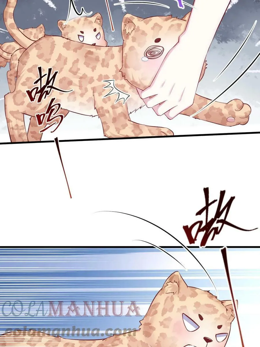 445 第46页