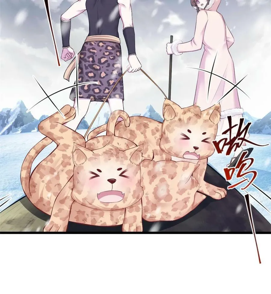 444 第8页