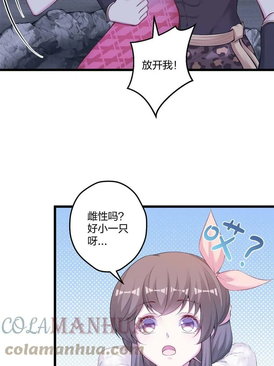 444 第43页