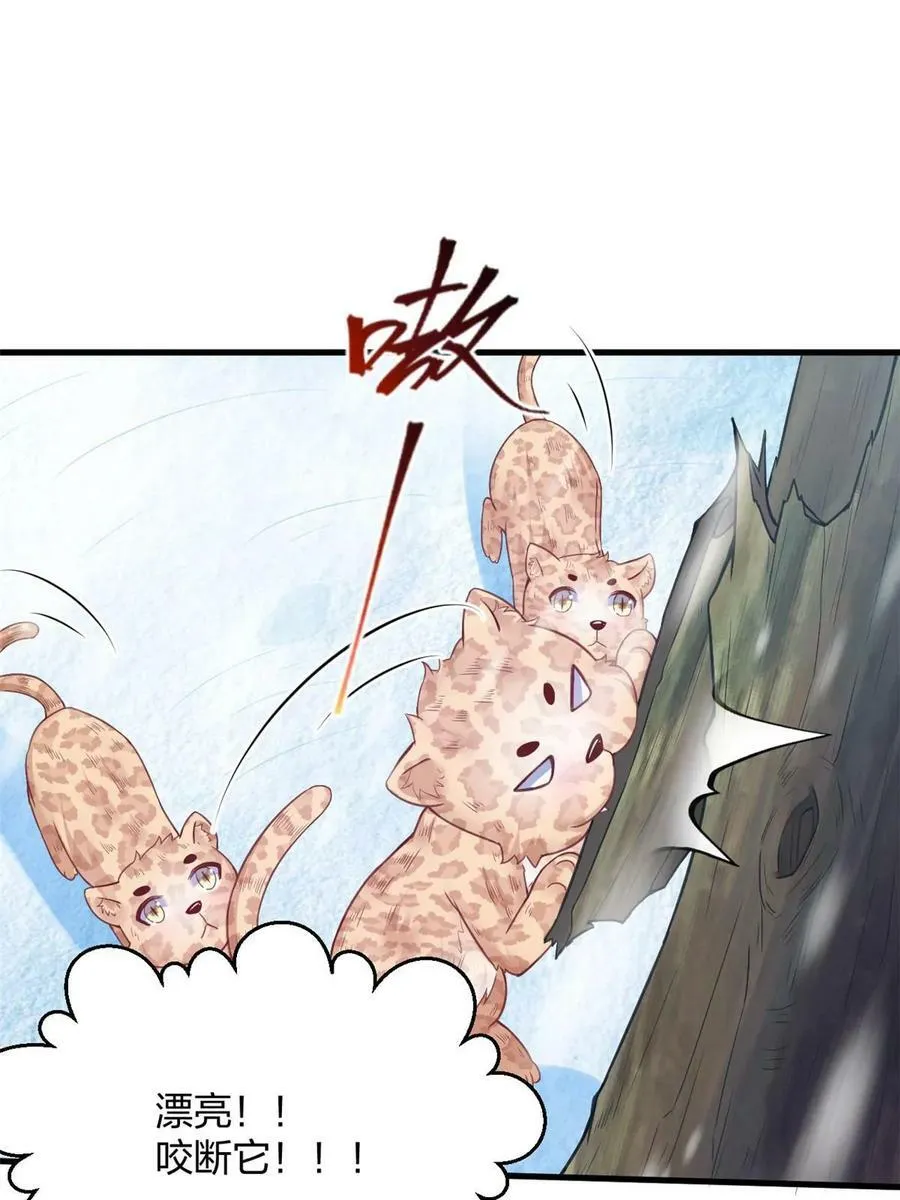 443 第14页