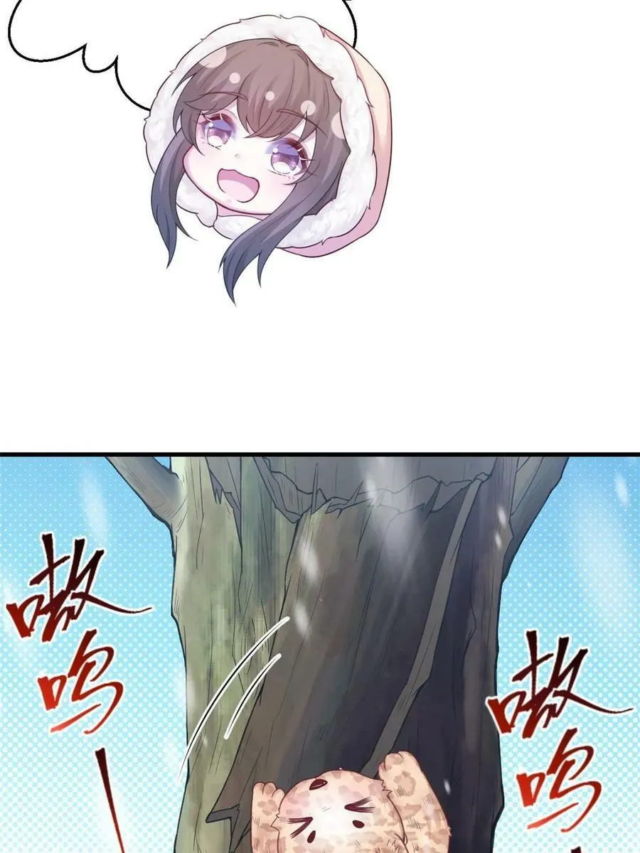 443 第15页