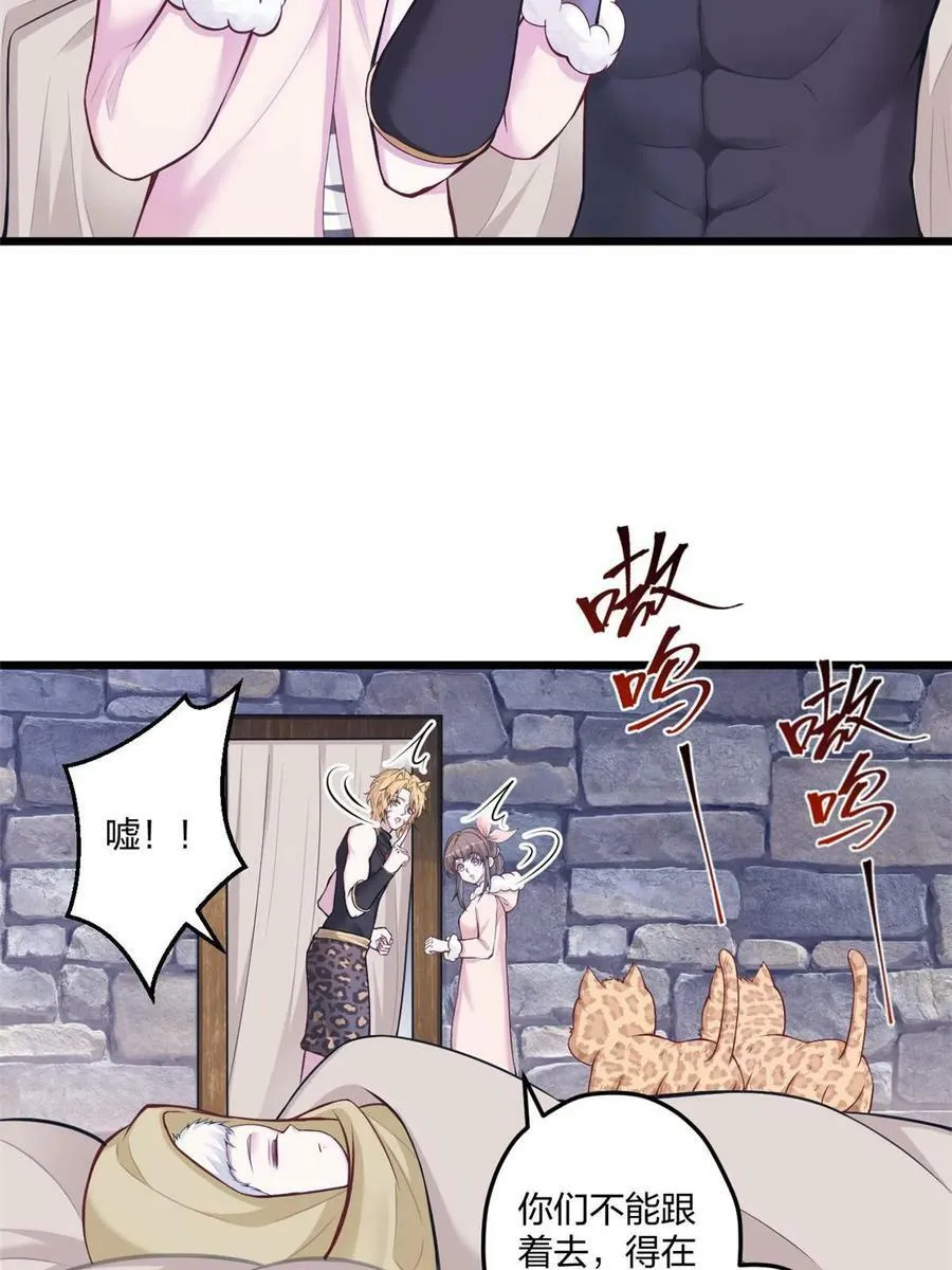 442 第39页