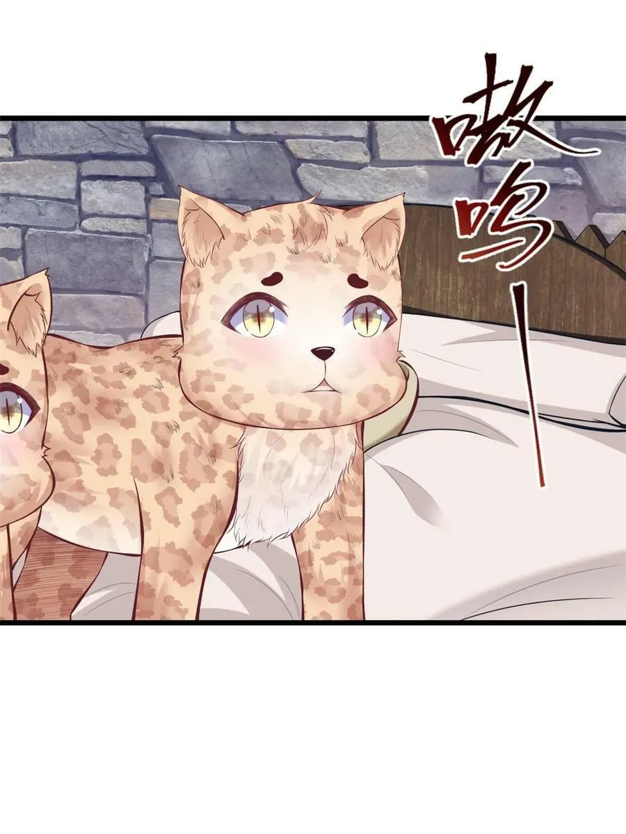 442 第41页
