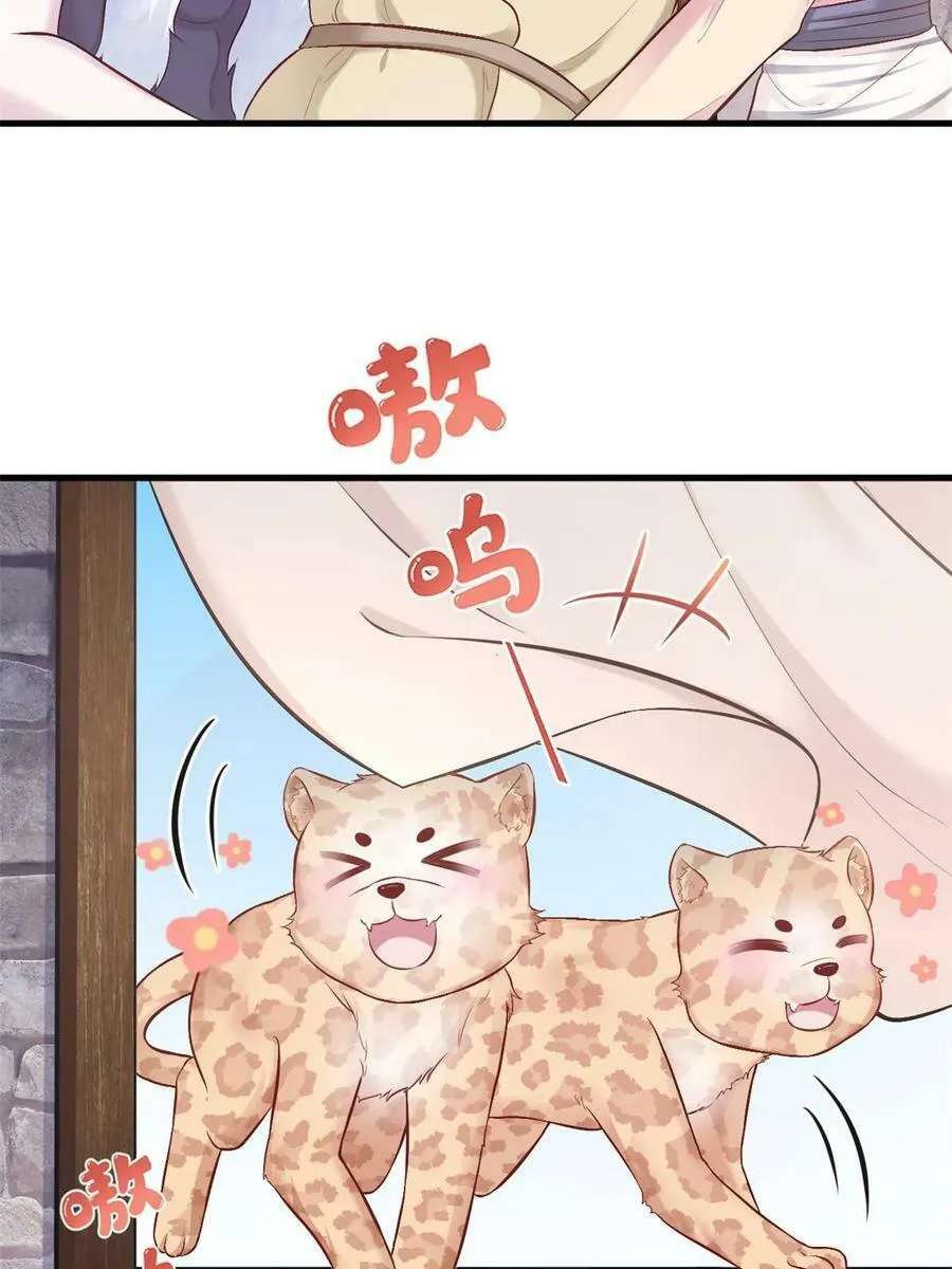 441 第27页