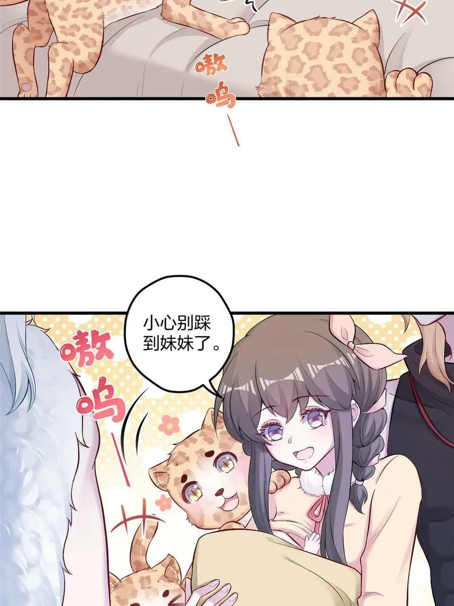 441 第29页
