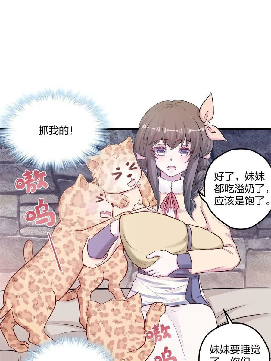 441 第33页