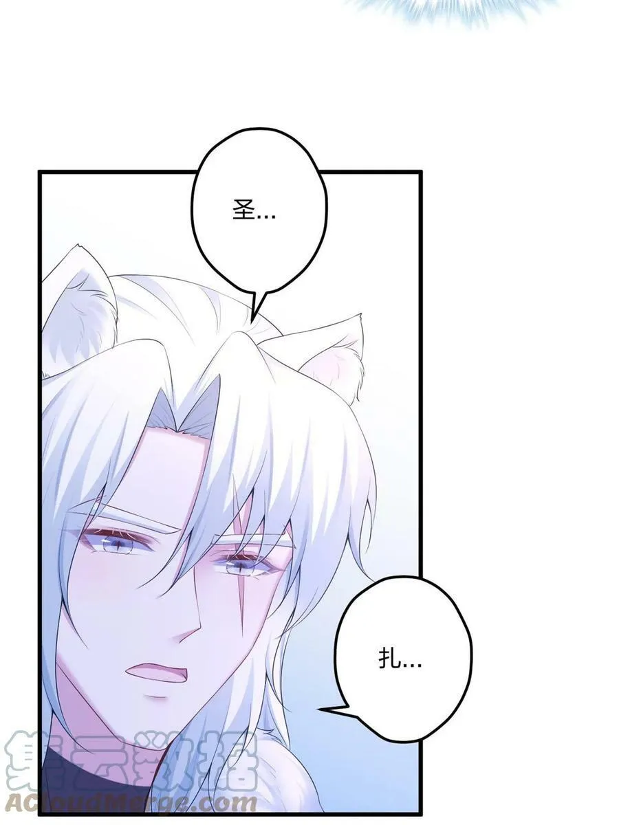 437 第13页