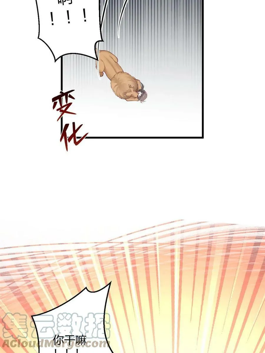 437 第31页