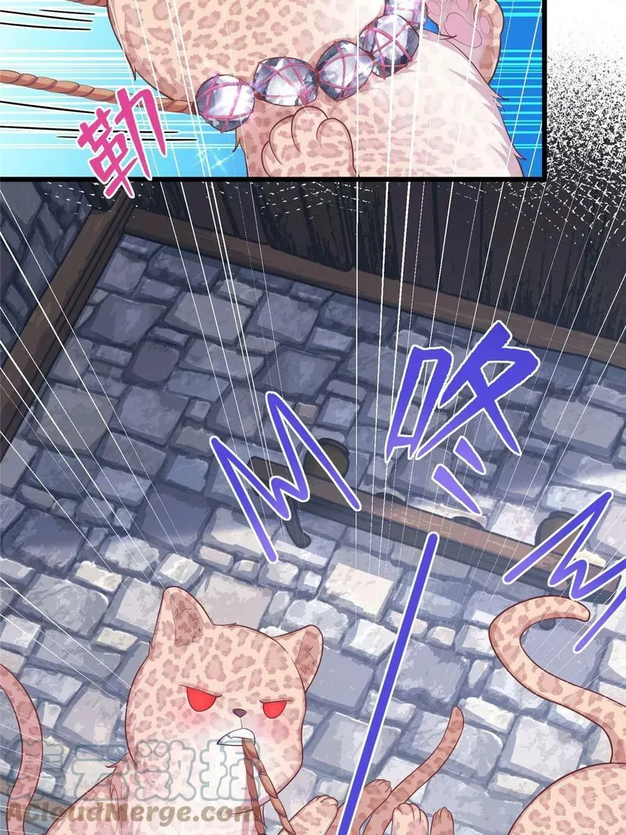 435 第43页