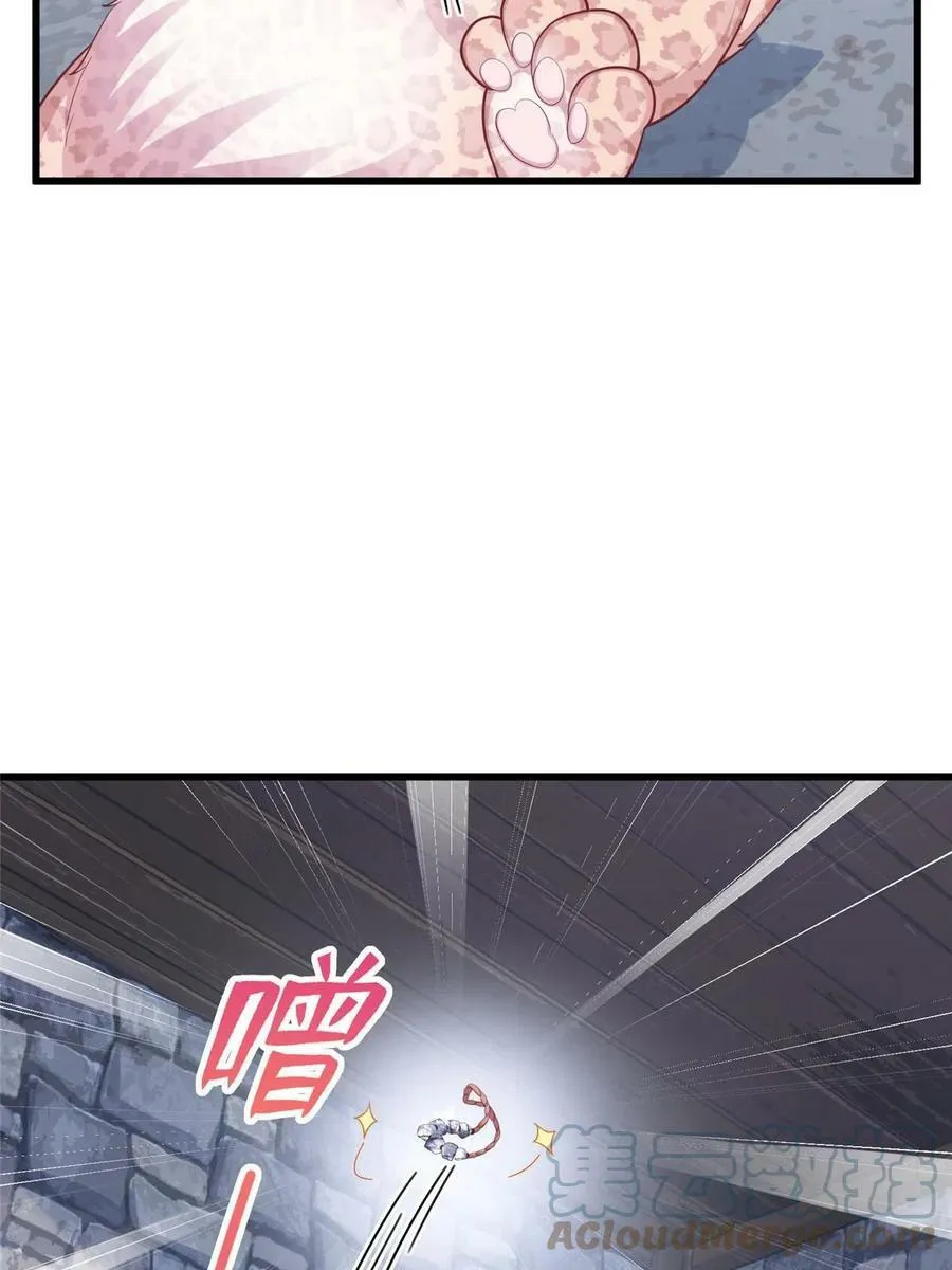 435 第46页
