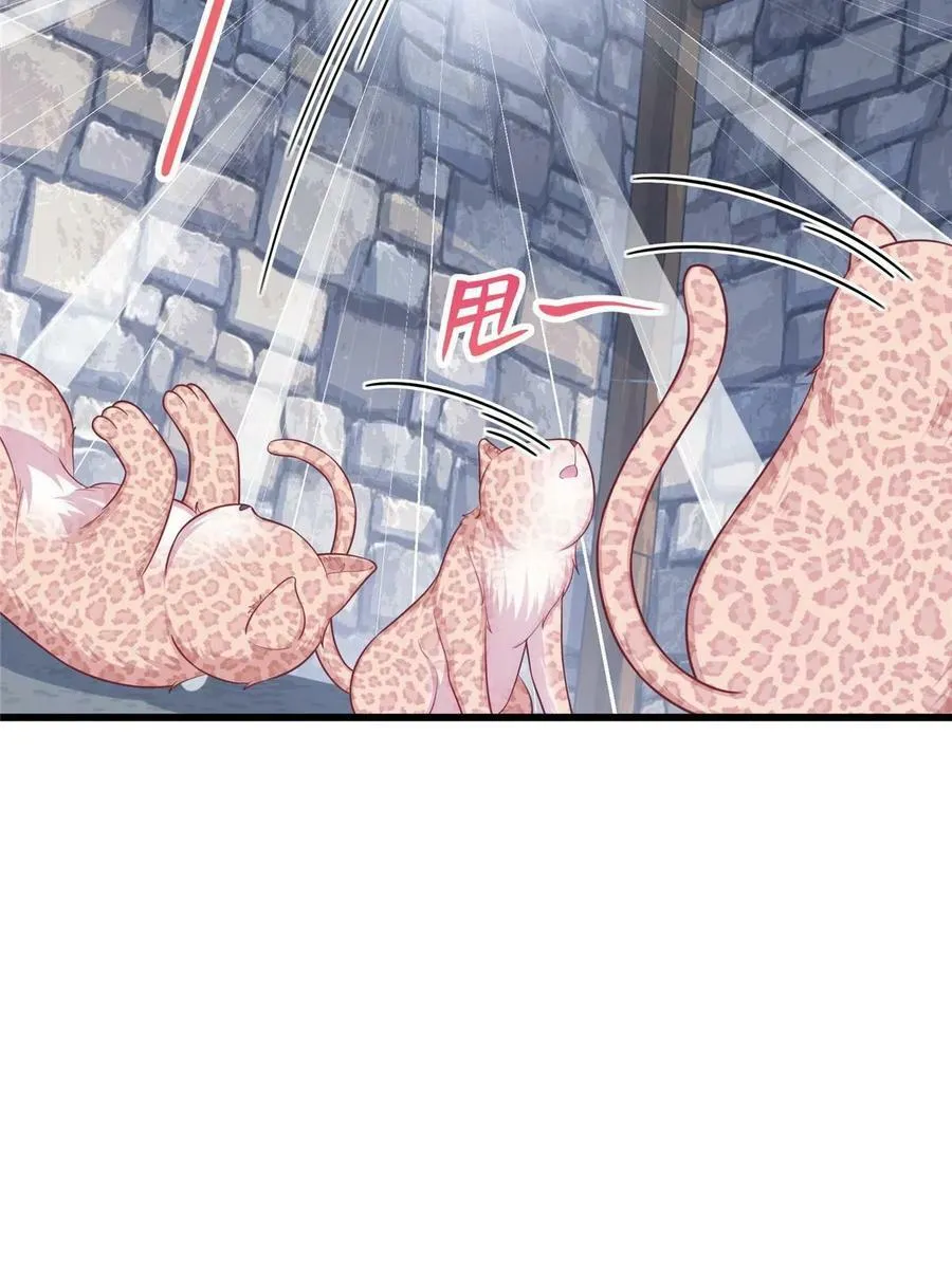 435 第47页