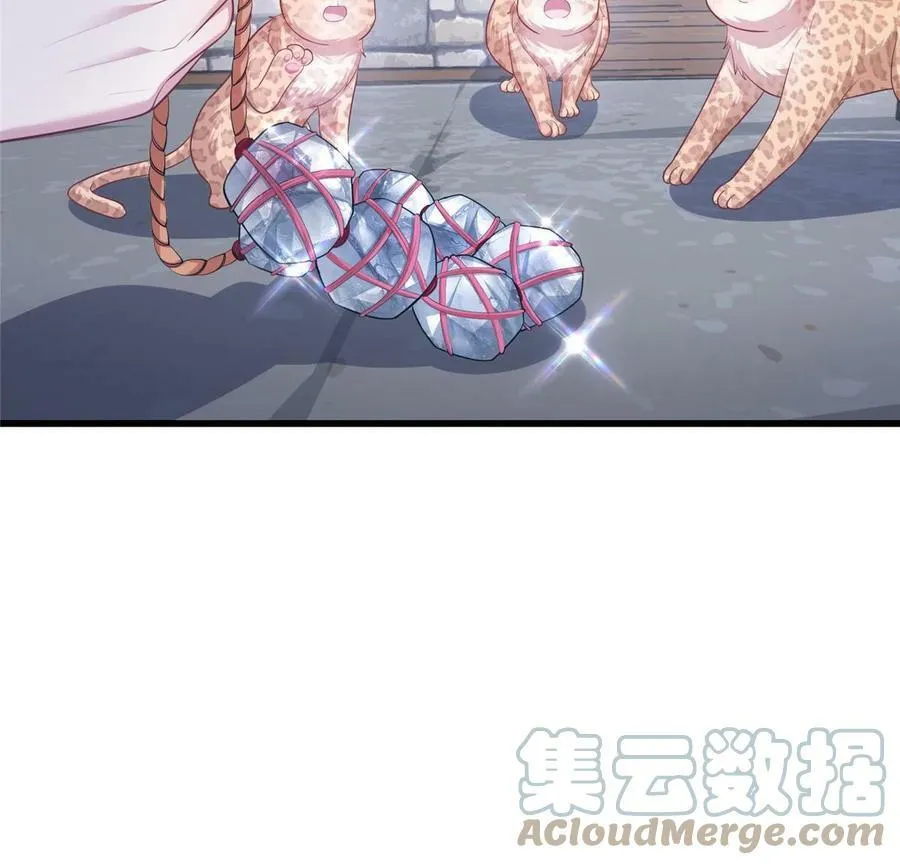 435 第55页