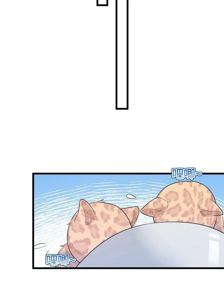 431 第24页