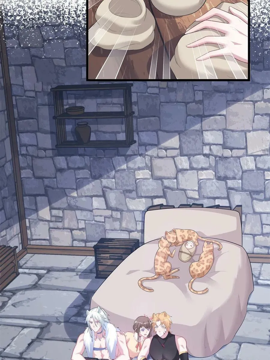 428 第15页