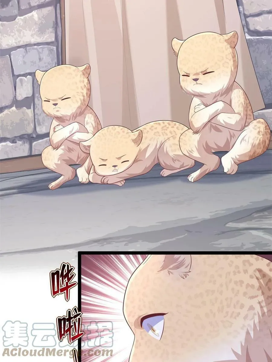 427 第4页