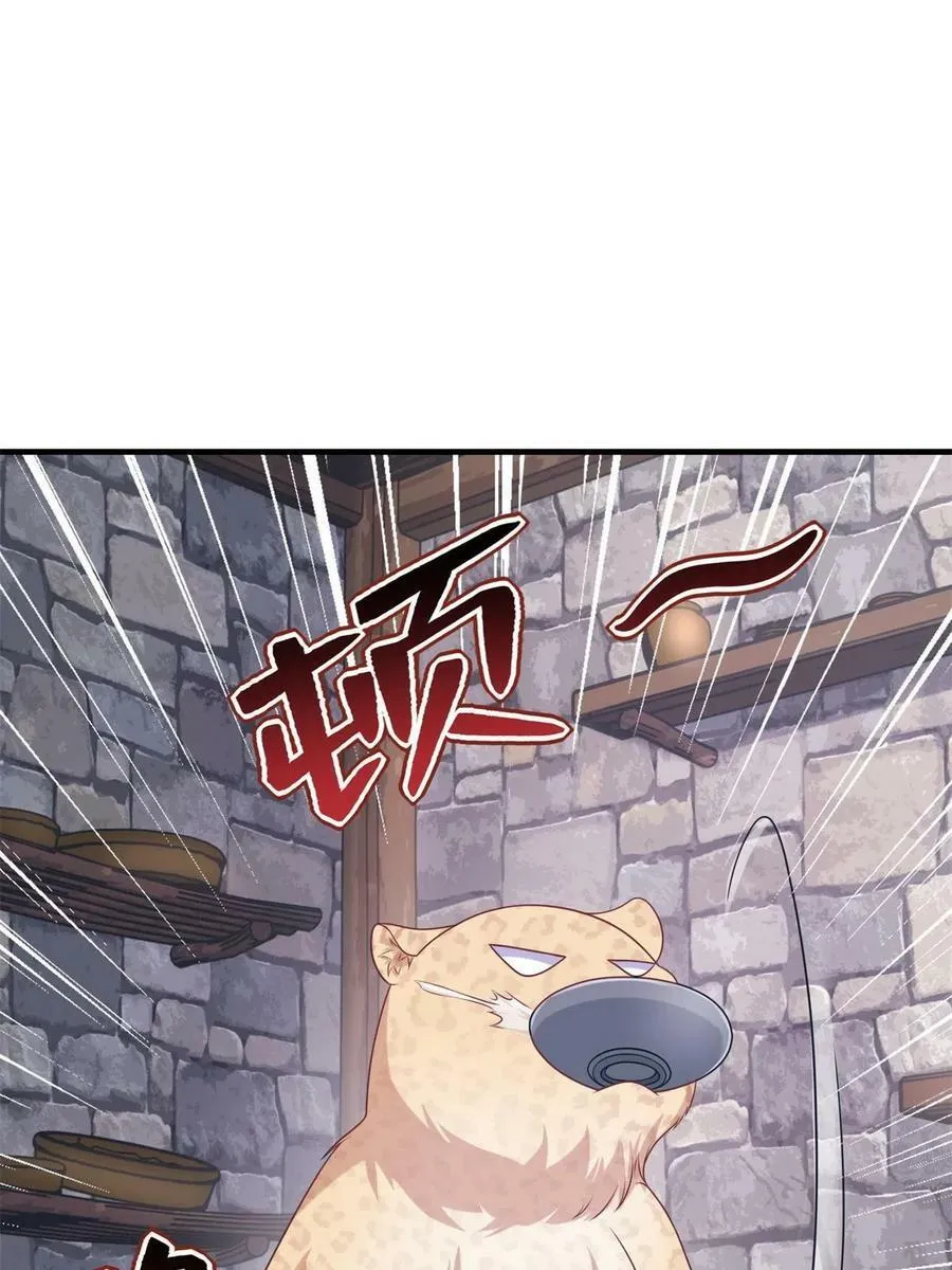 427 第11页