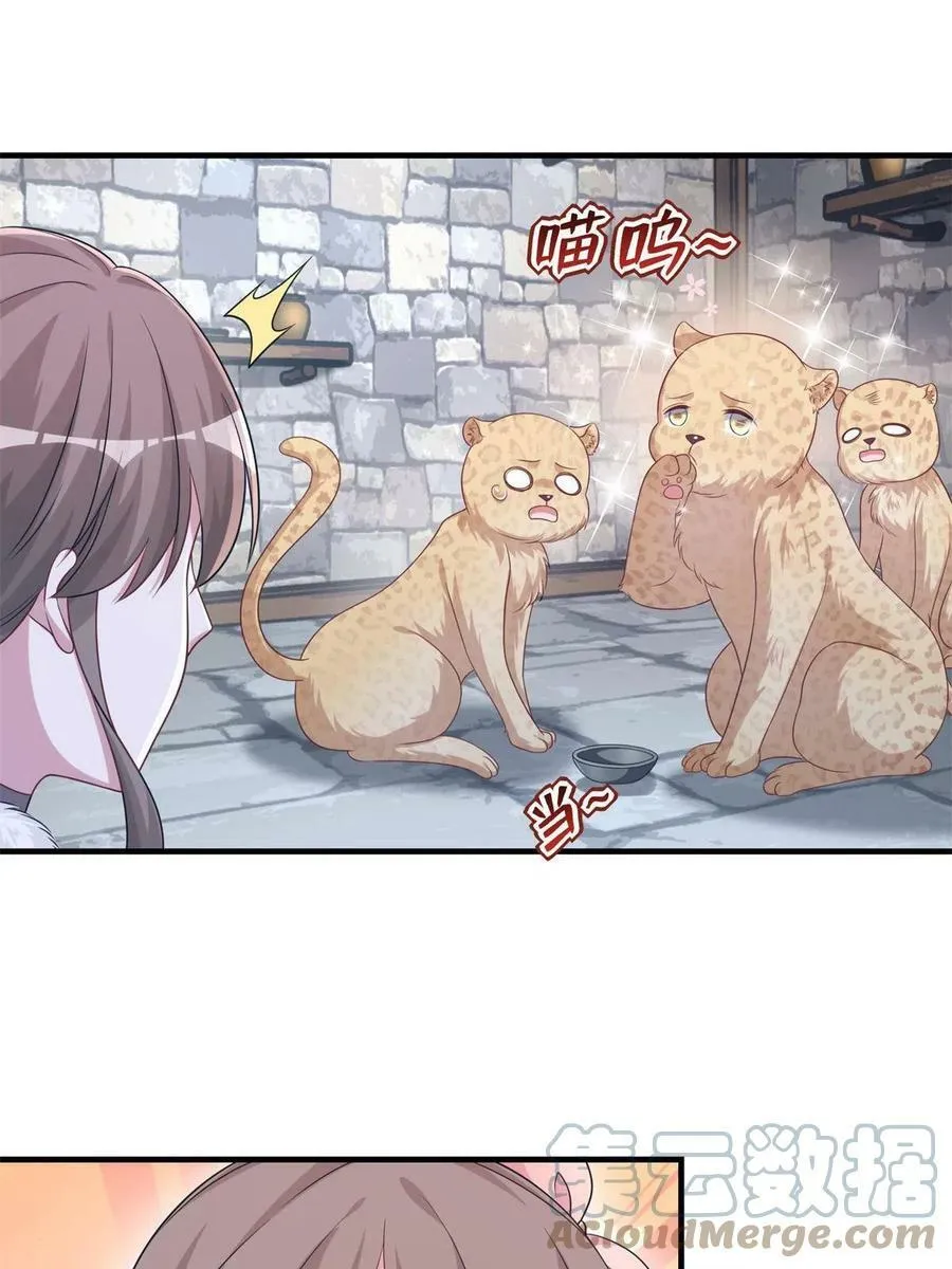 427 第13页