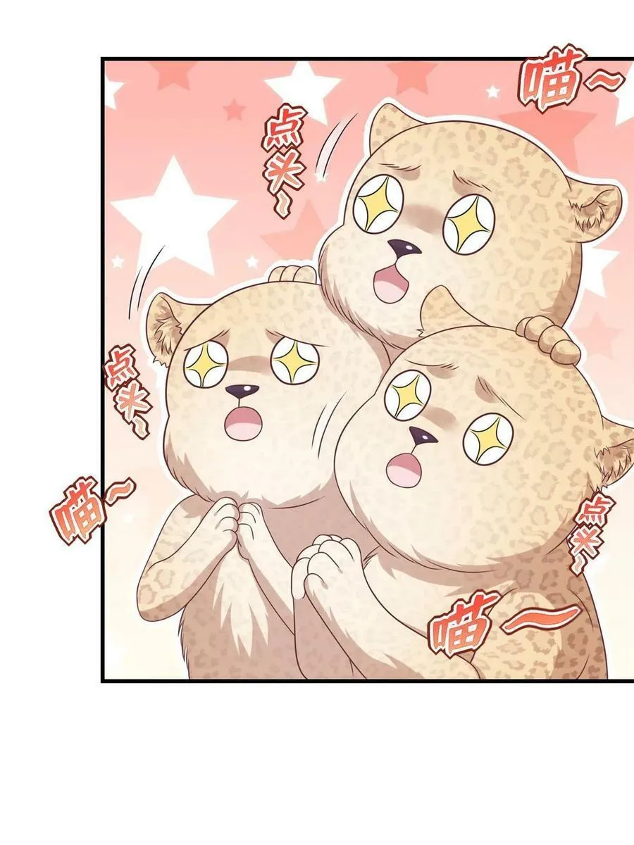 427 第15页