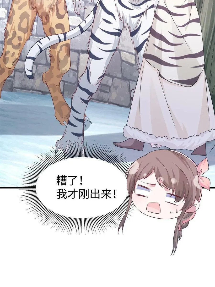 427 第42页