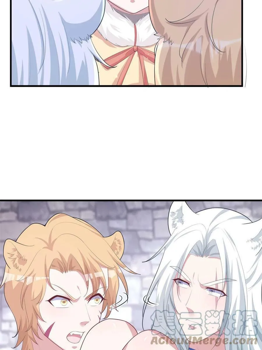 427 第49页