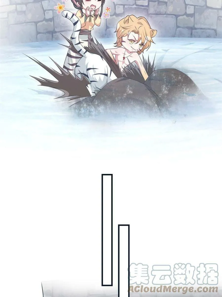 427 第55页