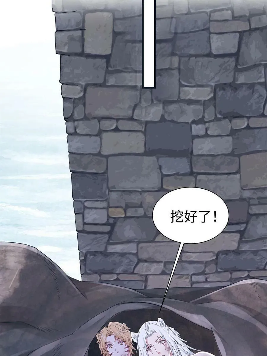 427 第56页