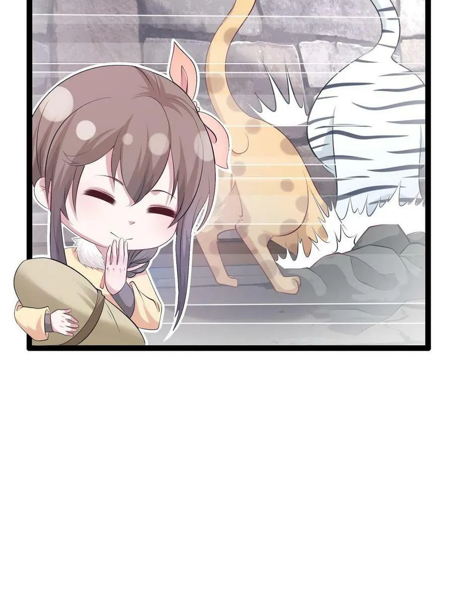 426 第51页