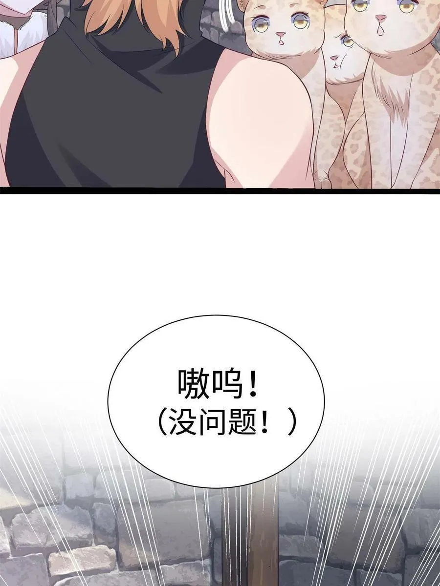426 第60页