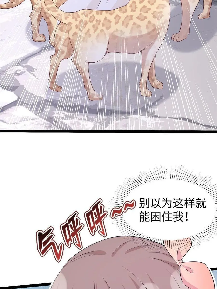 426 第62页