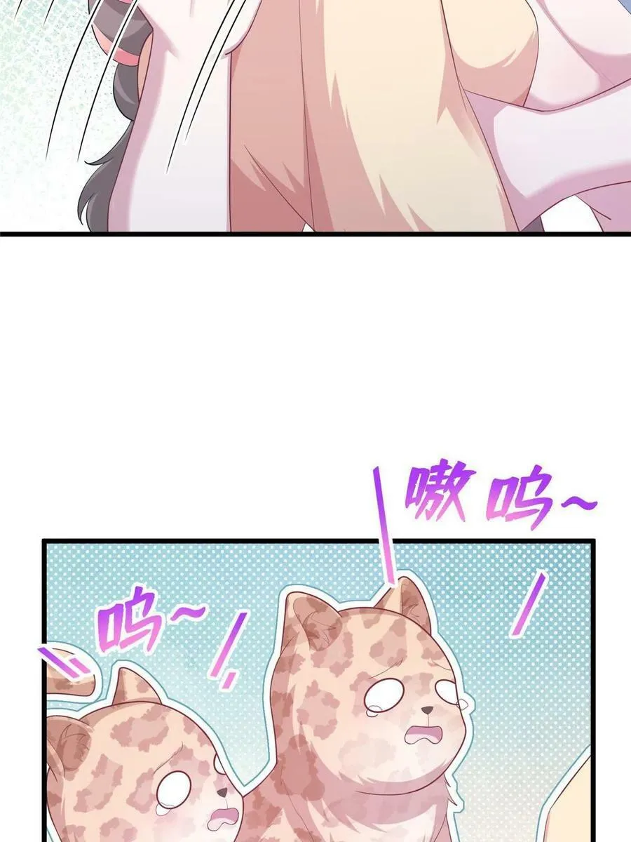 425 第11页