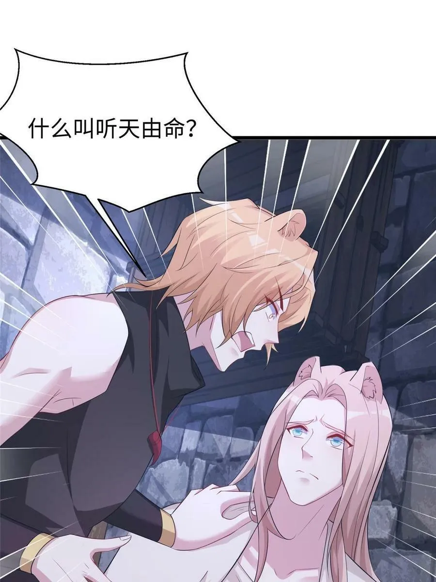 424 第14页