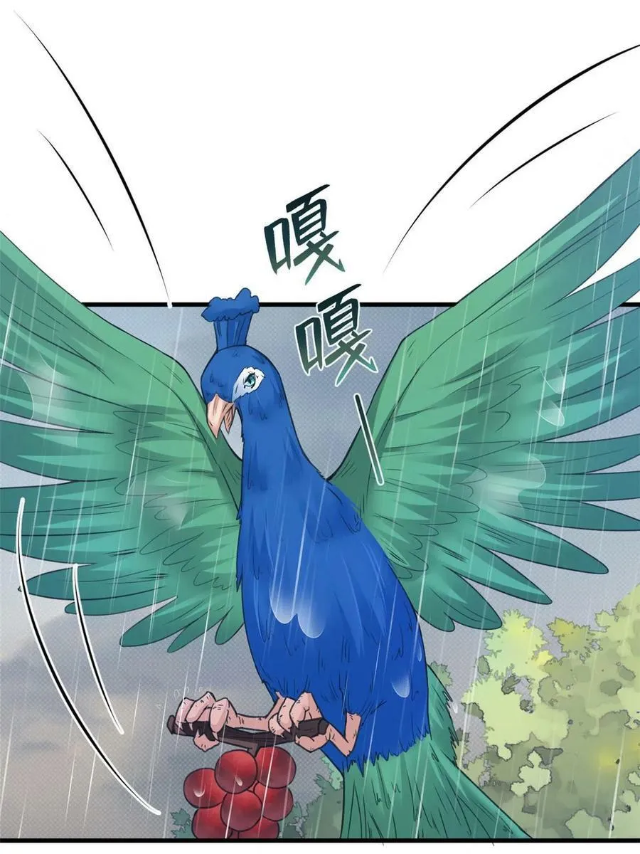 411 第23页
