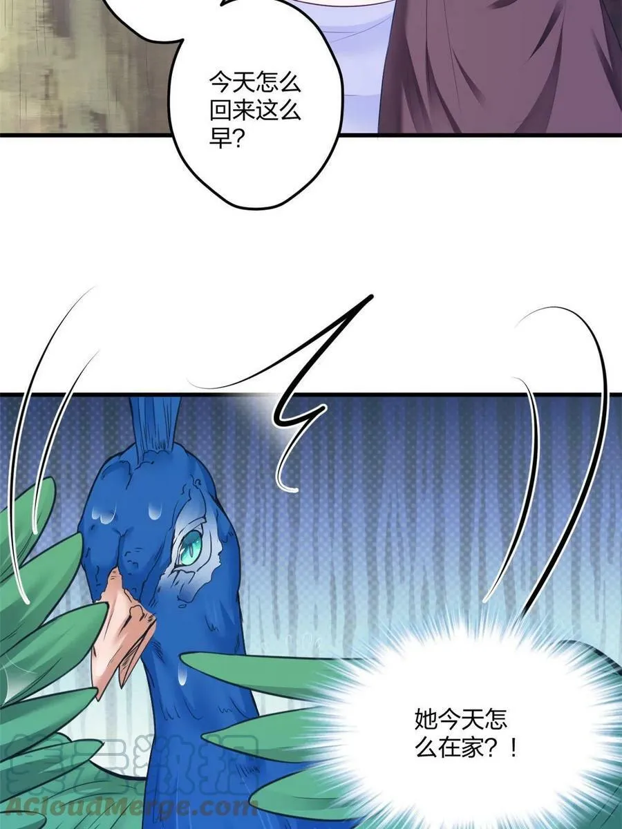 411 第25页