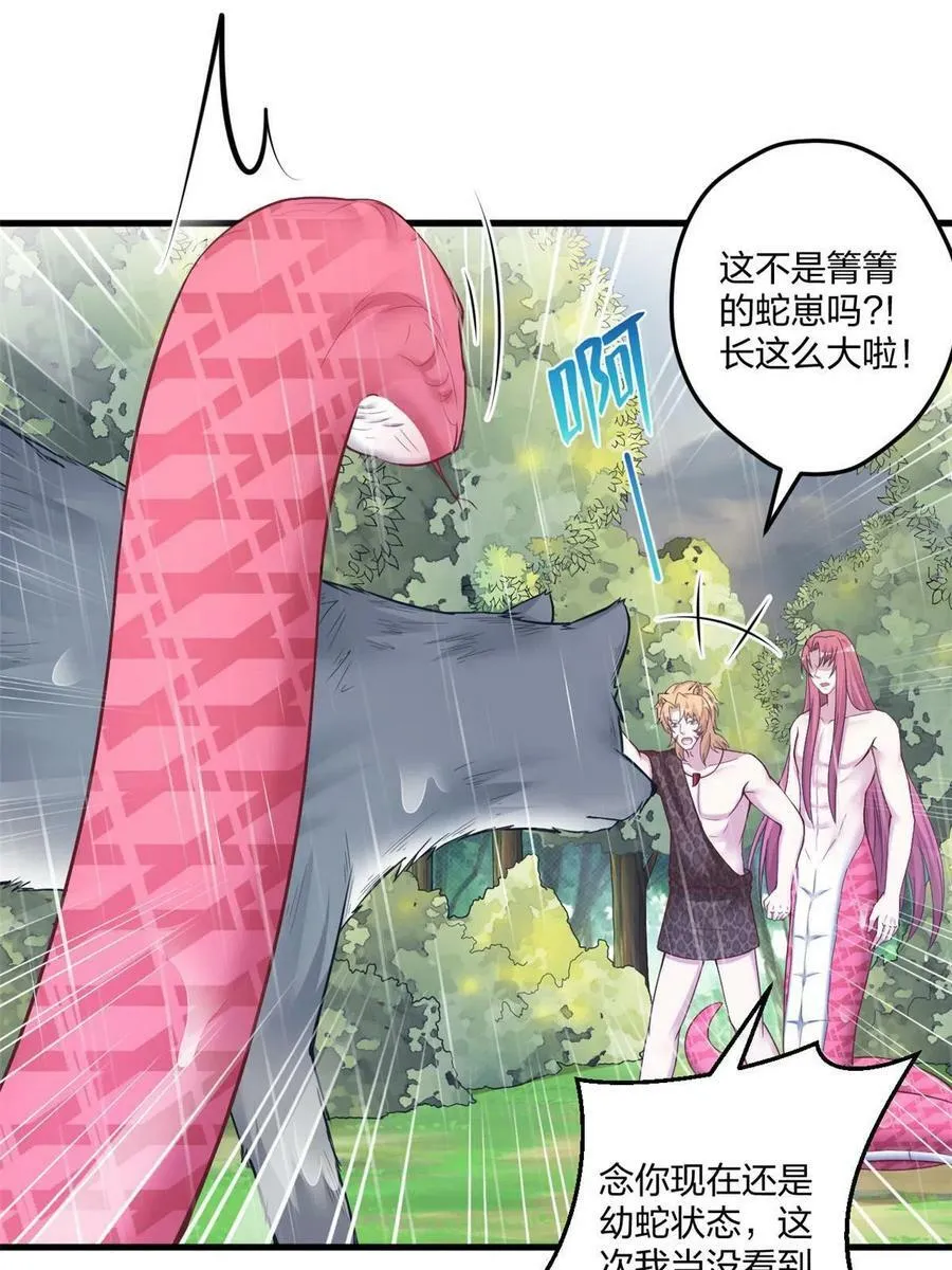 410 第11页