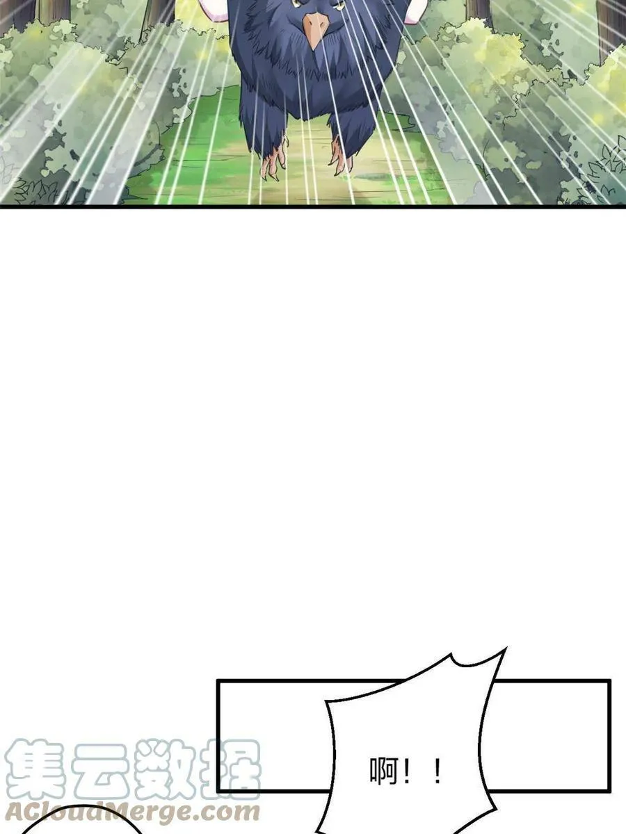 402 第31页