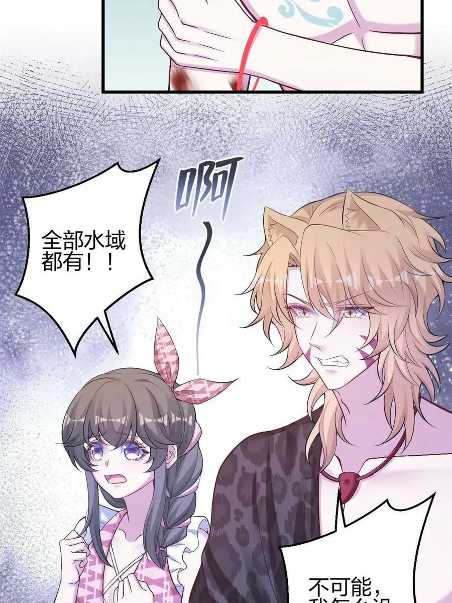 385 第15页