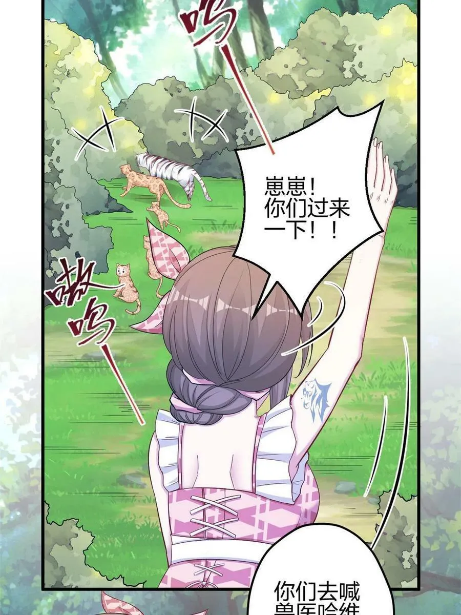 385 第23页