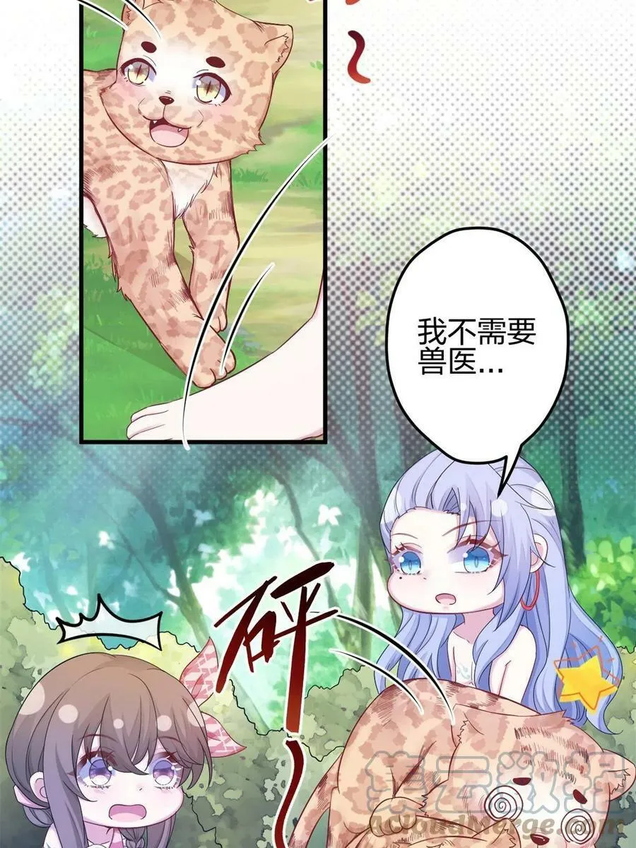 385 第25页