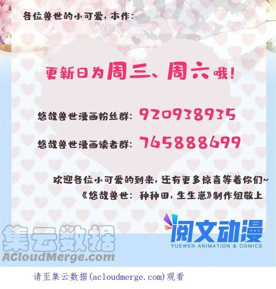 382 第49页