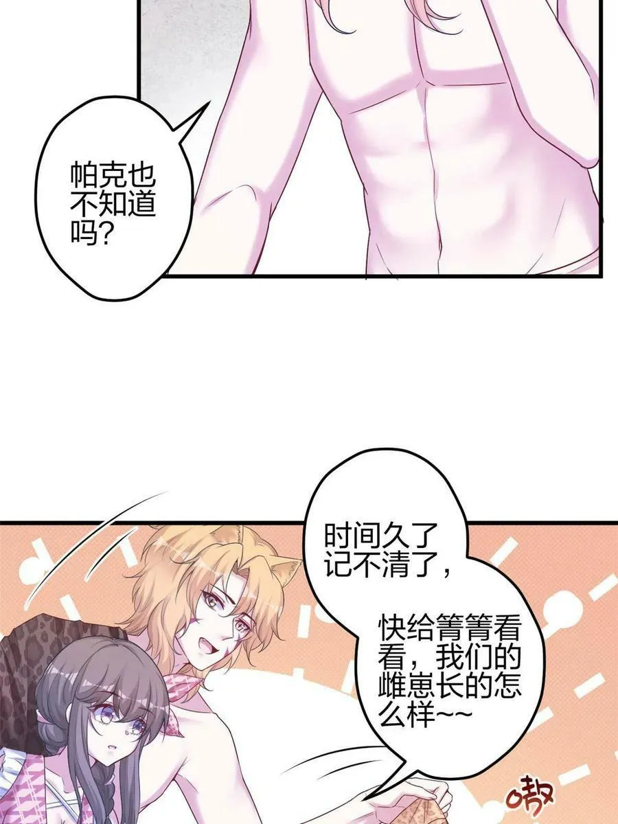 379 第33页