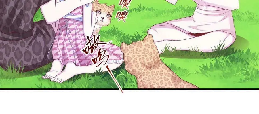 379 第42页