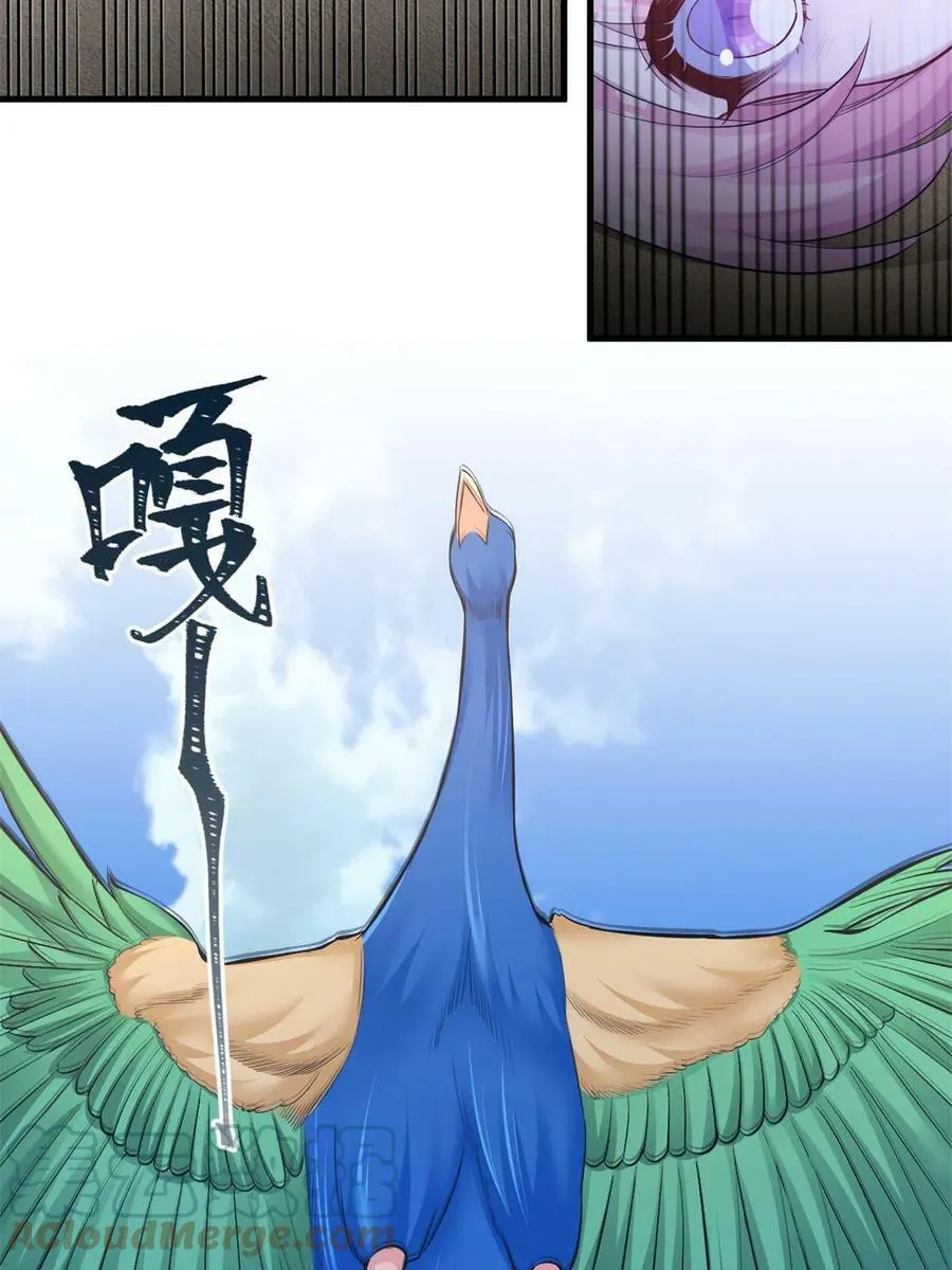 370 第13页