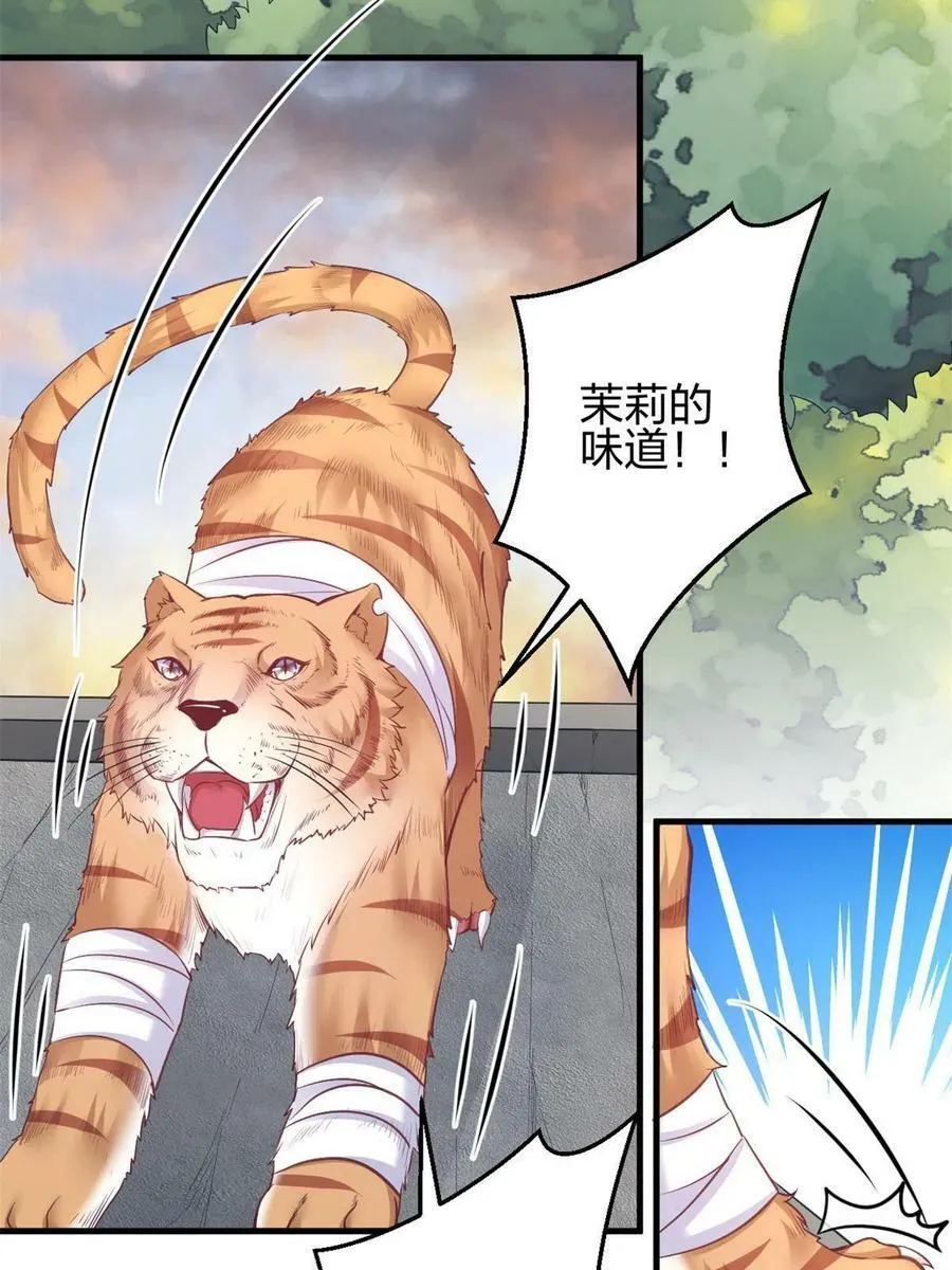 370 第45页