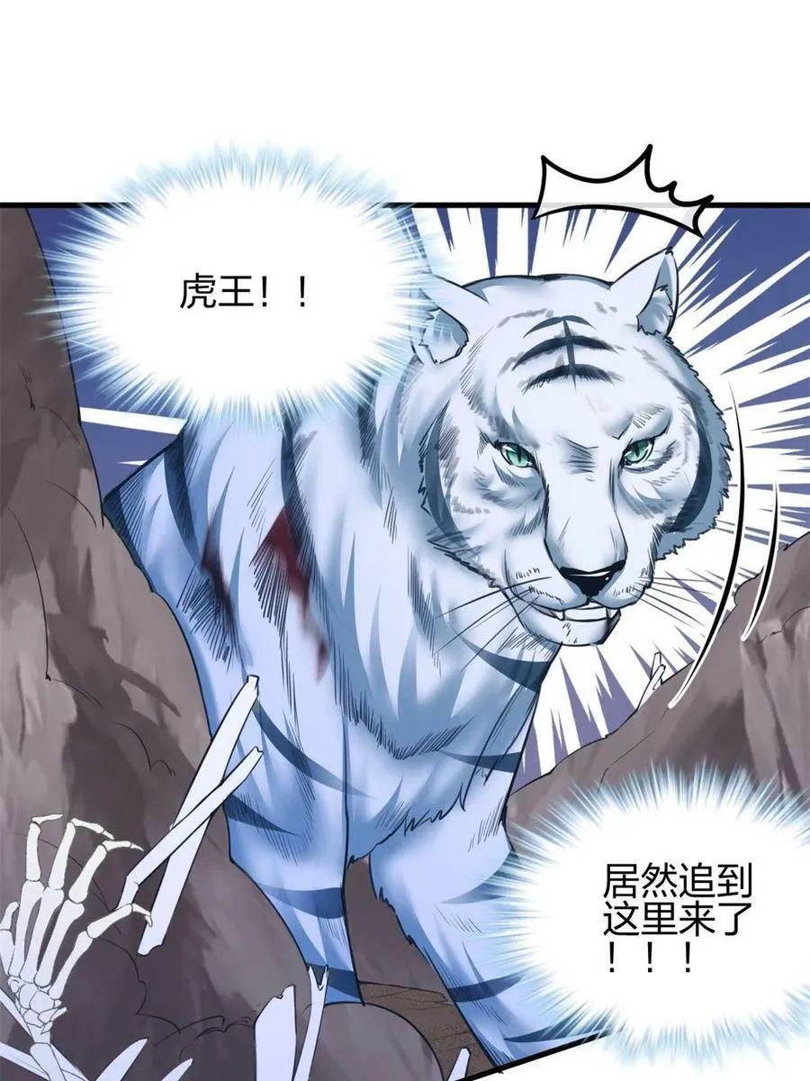 368 第51页
