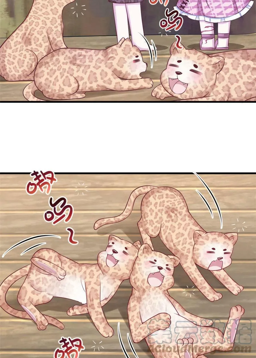 367 第5页