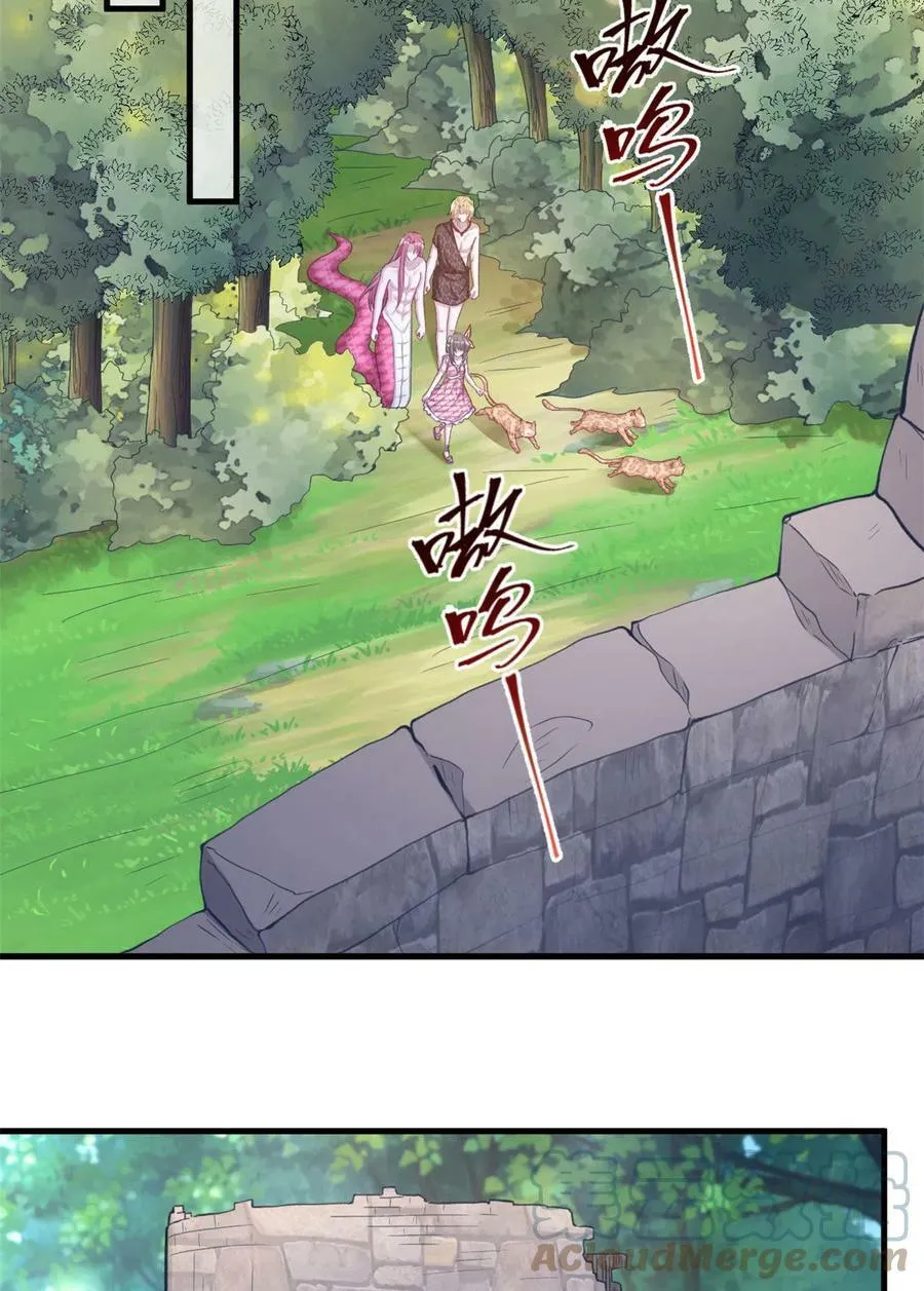 367 第11页