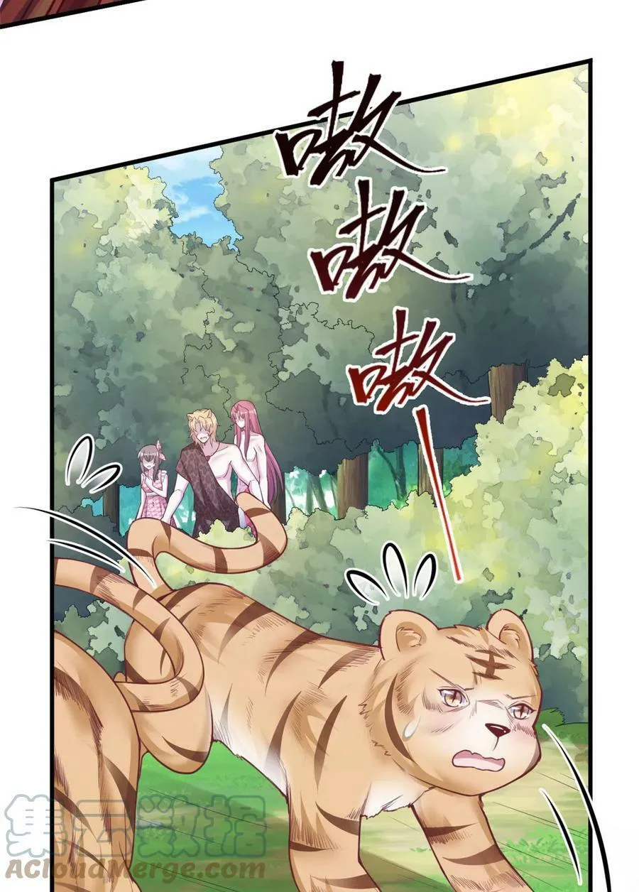 367 第17页