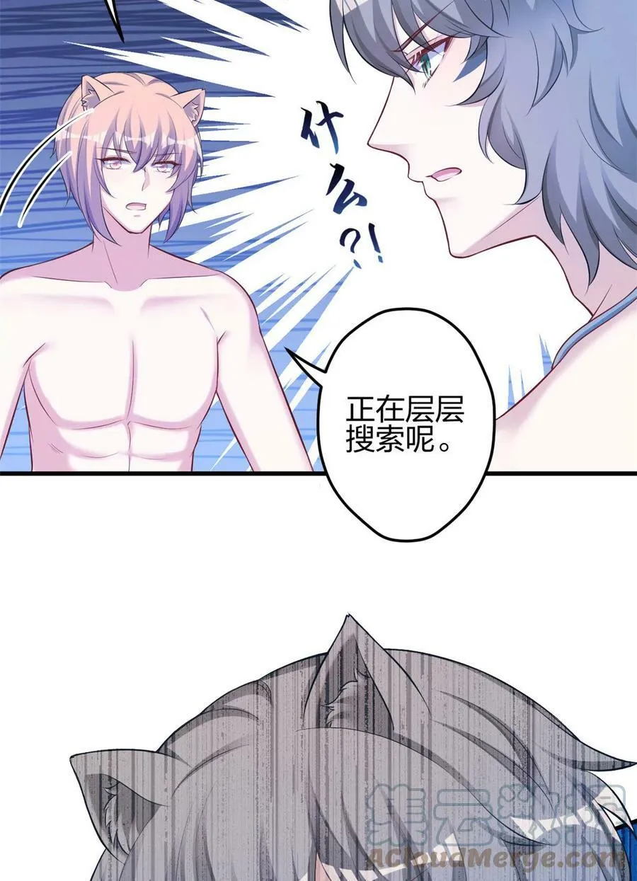361 第41页